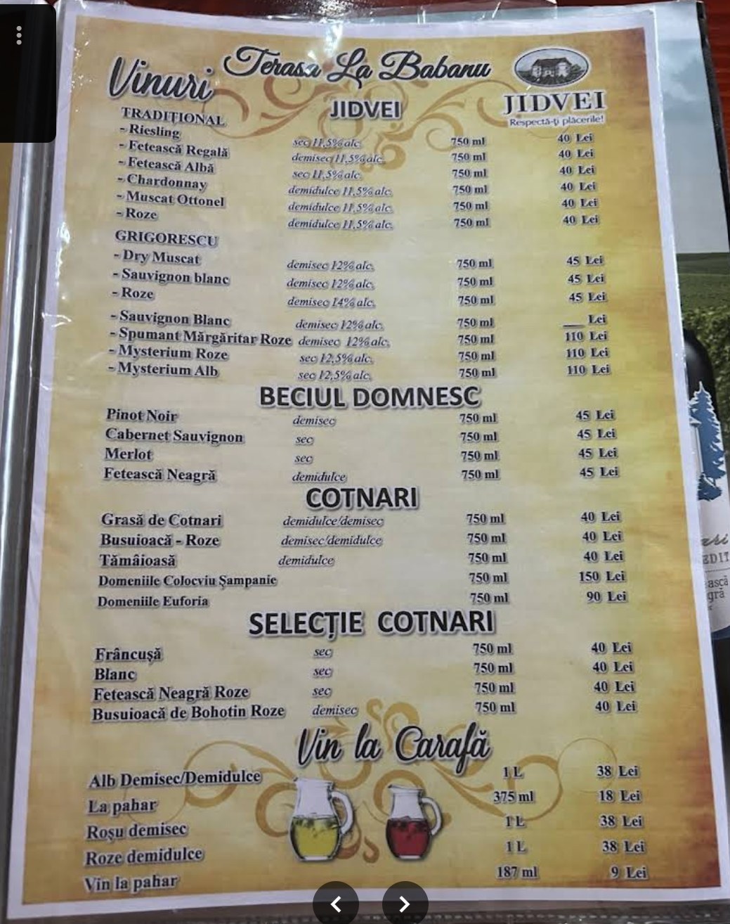 Pagina meniu Terasa La Babanu 5
