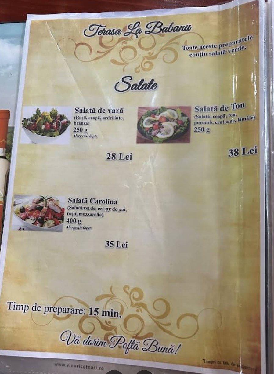 Pagina meniu Terasa La Babanu 10